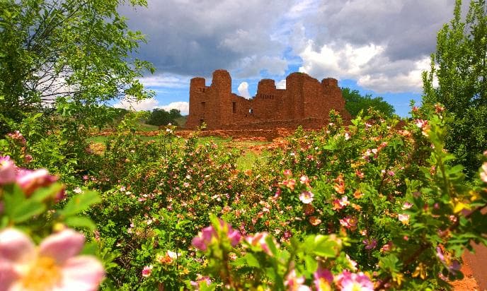 Pink flowers and green foliage frame the roofless remains of a stone mission.
