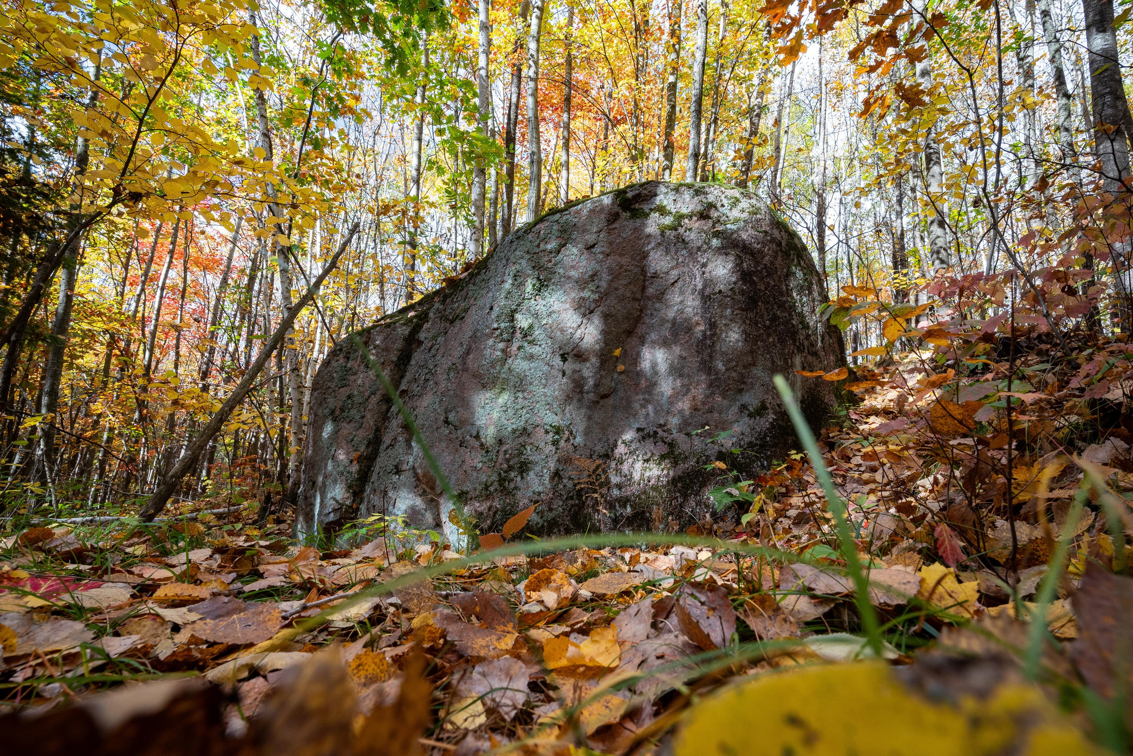 Photograph of a large glacial erratic boulder in autumn with trees covered in colorful foliage and f
